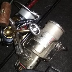 中あじフィーバー大サバ