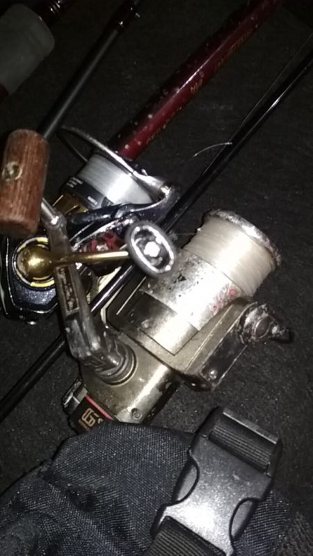 中あじフィーバー大サバ