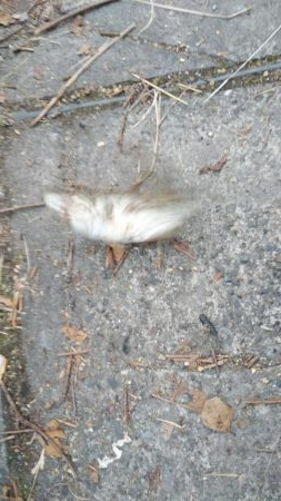 入れ食いの横で