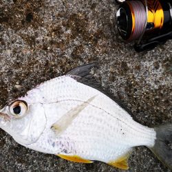 早朝から夕方まで1日仕事~