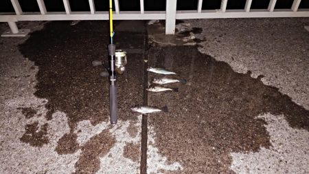 風が吹いてもメバリング