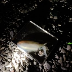 うねり・うねりの３連ちゃん。「鬼アワセでブッコ抜け」と脳はおっしゃっておりますが・・・