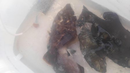 まだまだ温度が高い