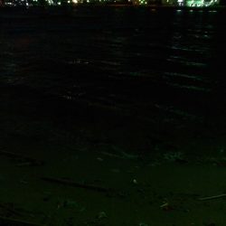 ライトショアジギング