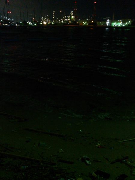 ライトショアジギング