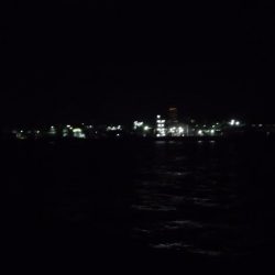 自分だけ激貧釣果