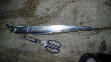 ドラゴンにワイヤー切られ；；