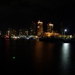 タチウオ不発で 銀色じゃないやつ!