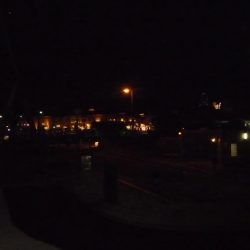 周りは釣れてても自分は釣れない;;