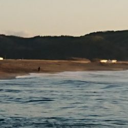 ようやく、新年初モノ・・・