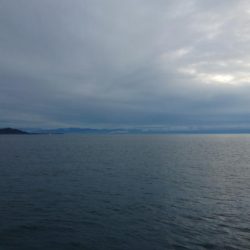 もう、春なんですね！