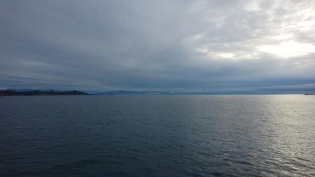 もう、春なんですね！