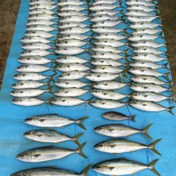 まるいち丸 ZERO-1 釣果