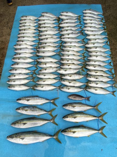 まるいち丸 ZERO-1 釣果