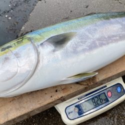 まるいち丸 ZERO-1 釣果