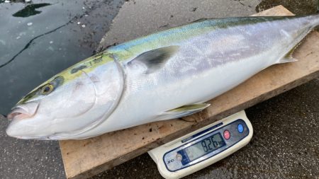 まるいち丸 ZERO-1 釣果