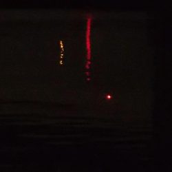 2019年タチウオ最終釣行