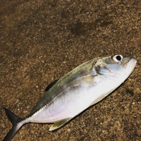 ライトゲーム ！！