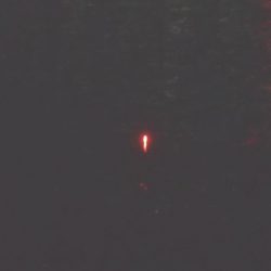 2020年 タチウオ 初釣り