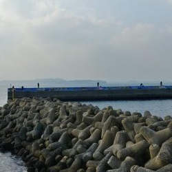 カマスの引っ掛け