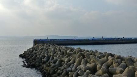 カマスの引っ掛け