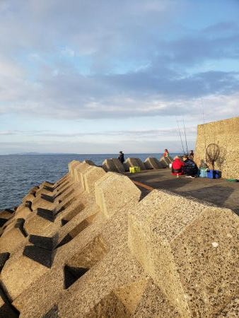 青物はいない！？