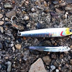 何かが釣れる気配で……