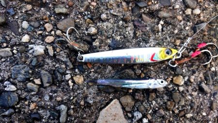 何かが釣れる気配で……