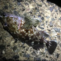 日本海単独遠征