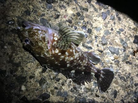 日本海単独遠征