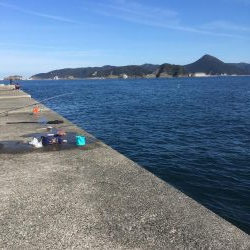 念願のブリゲット