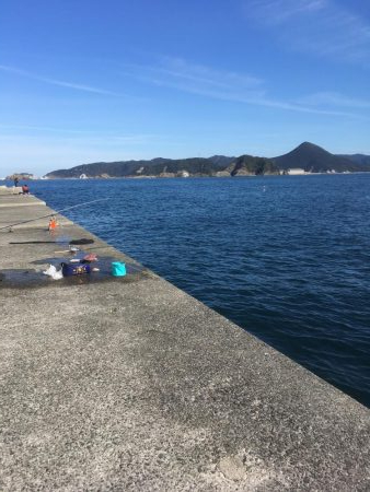 念願のブリゲット