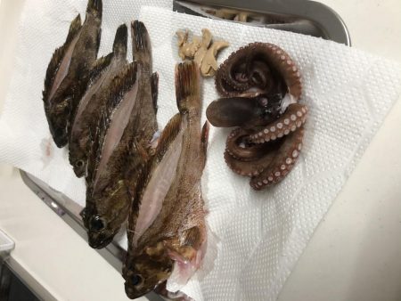 マイクロテンヤ