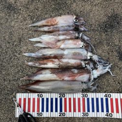 やっとヤリ開幕！