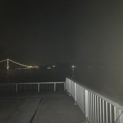 仕事終わりのメバリング