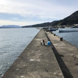 初ヤリイカ❗️