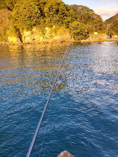 今年初釣り!!