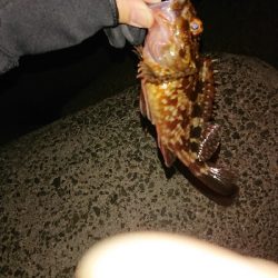 活性高く楽しめた♪