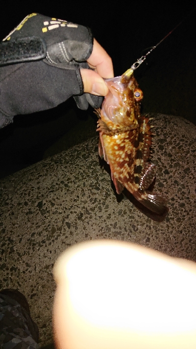 活性高く楽しめた♪