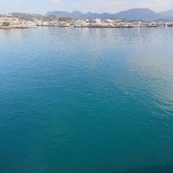 激サムエギング&汗かきLSJ