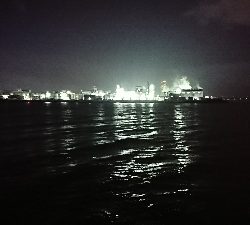 初釣り。短時間釣行