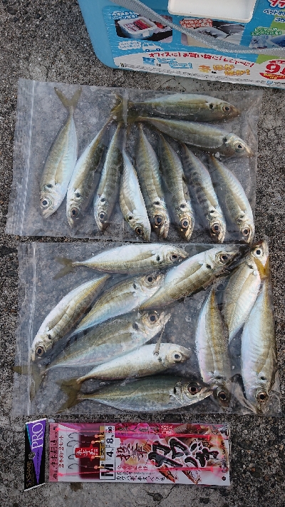 令和 2年  初釣り