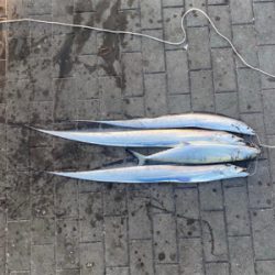 新年2日目、何とか形に