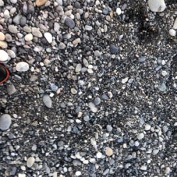 初日の出と共に