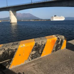 鹿児島帰省でアオリイカ  GET!