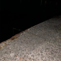 紀ノ川→食品コンビナート