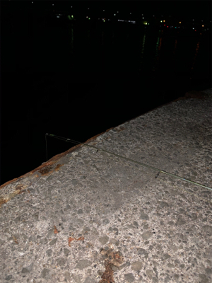 紀ノ川→食品コンビナート