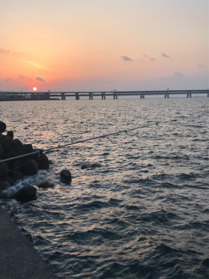 アジのちブリ狙い