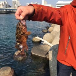 根魚カーニバル