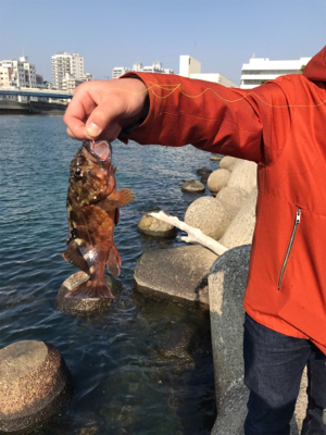 根魚カーニバル